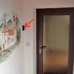 Haus Meinrad * זיפלד אין טירול